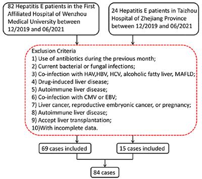 Changes and Clinical Significance of PIVKA-II in Hepatitis E Patients